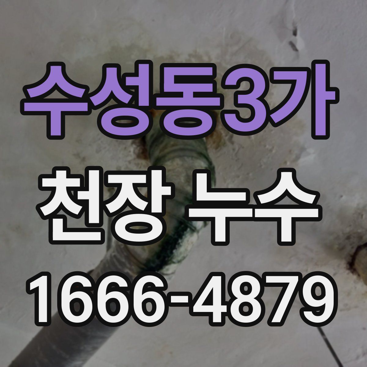 수성동3가 천장 누수