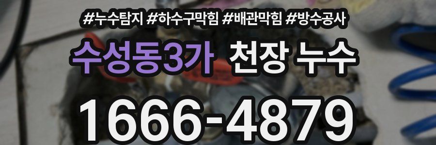 수성동3가 천장 누수