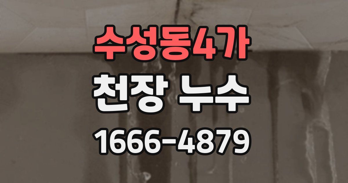 수성동4가 천장 누수
