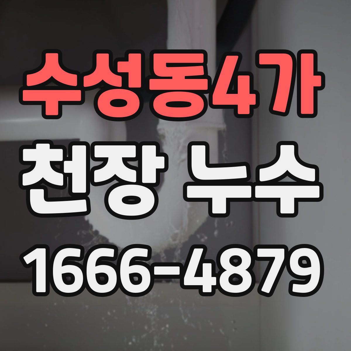 수성동4가 천장 누수