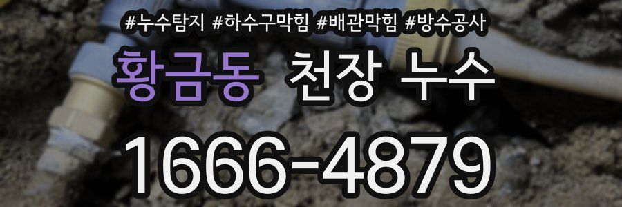 황금동 천장 누수