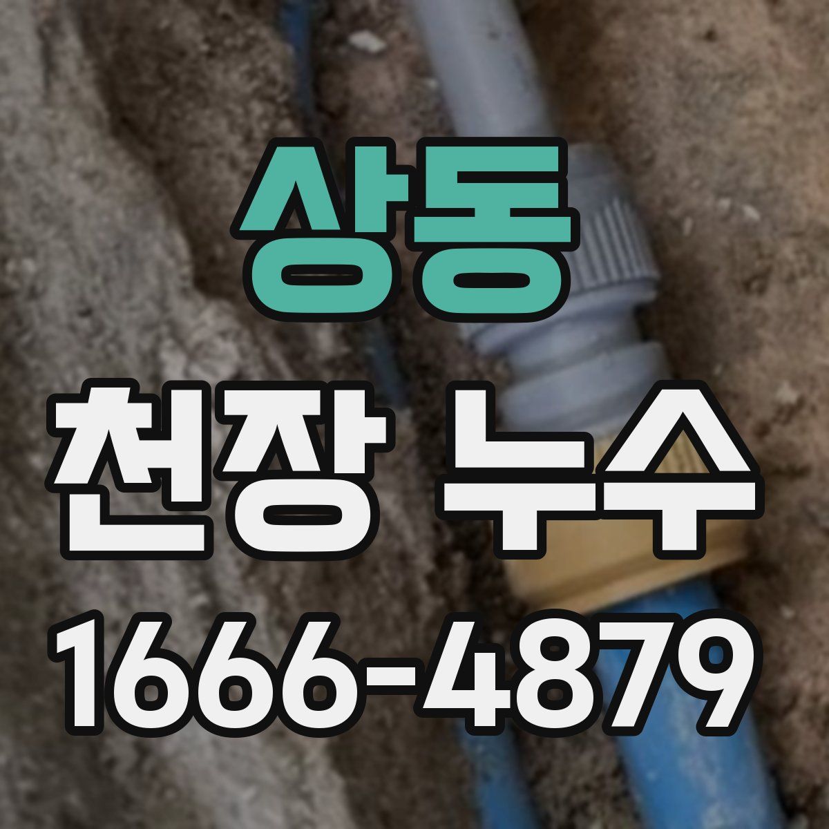 상동 천장 누수