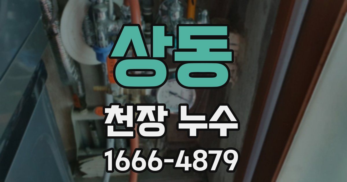 상동 천장 누수
