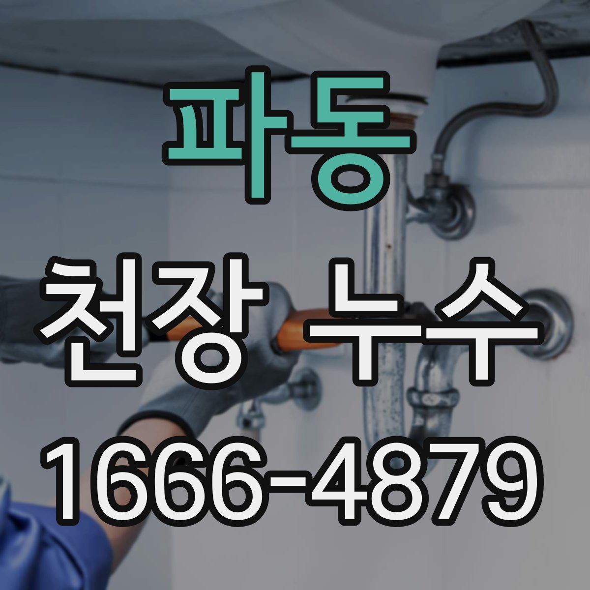 파동 천장 누수