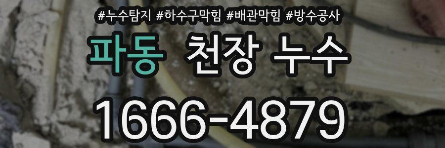 파동 천장 누수