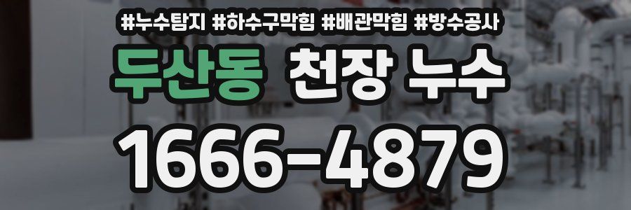 두산동 천장 누수