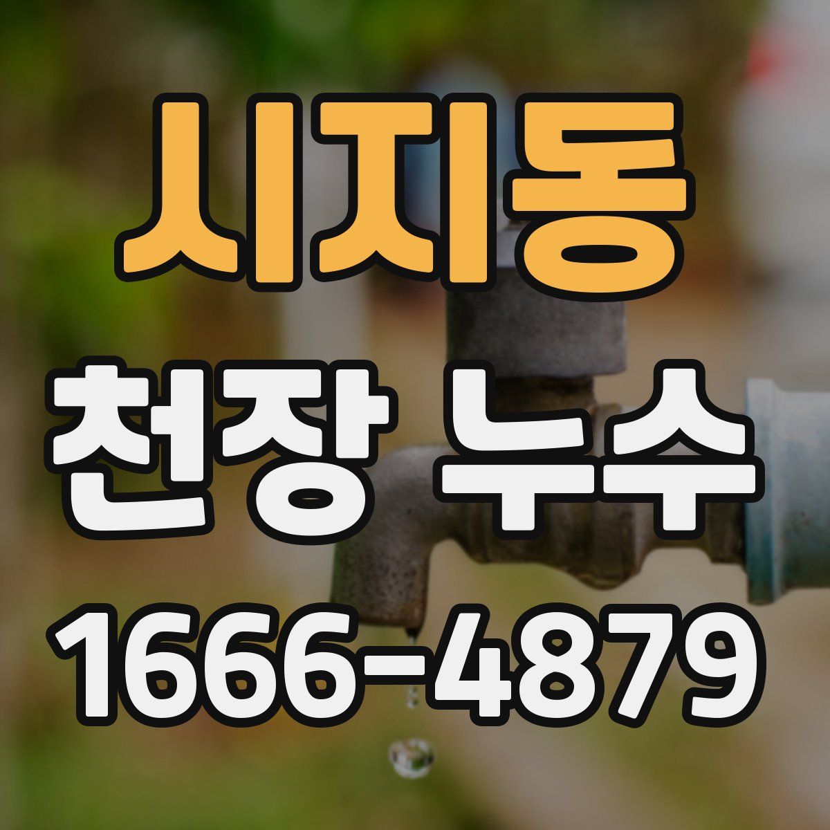 시지동 천장 누수