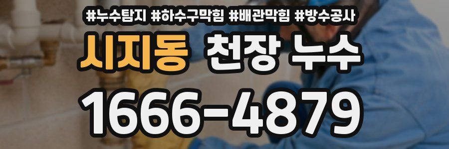 시지동 천장 누수
