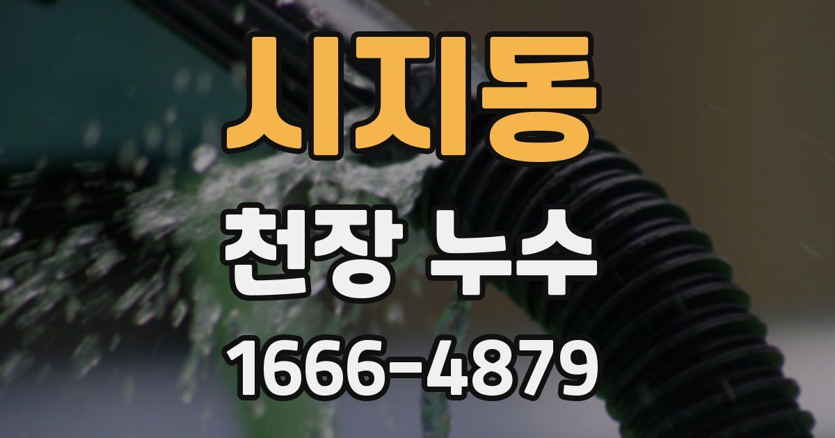 시지동 천장 누수