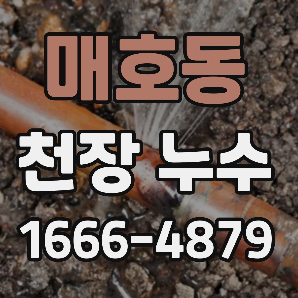 매호동 천장 누수