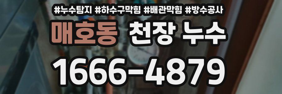 매호동 천장 누수