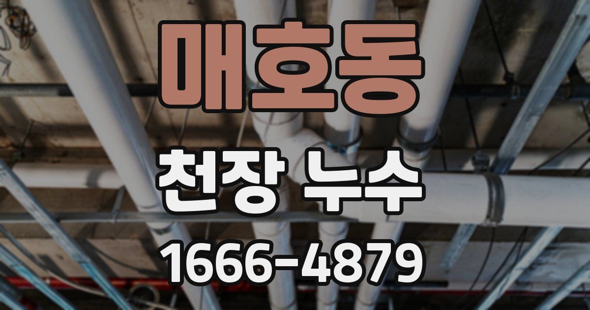 매호동 천장 누수