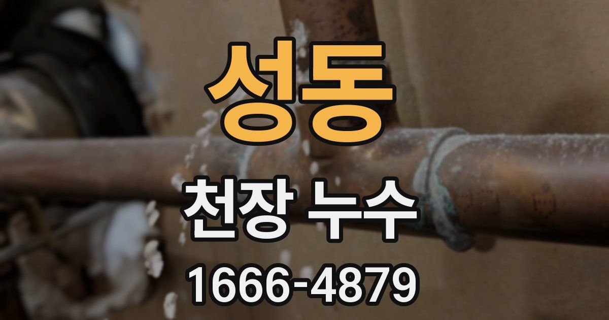 성동 천장 누수