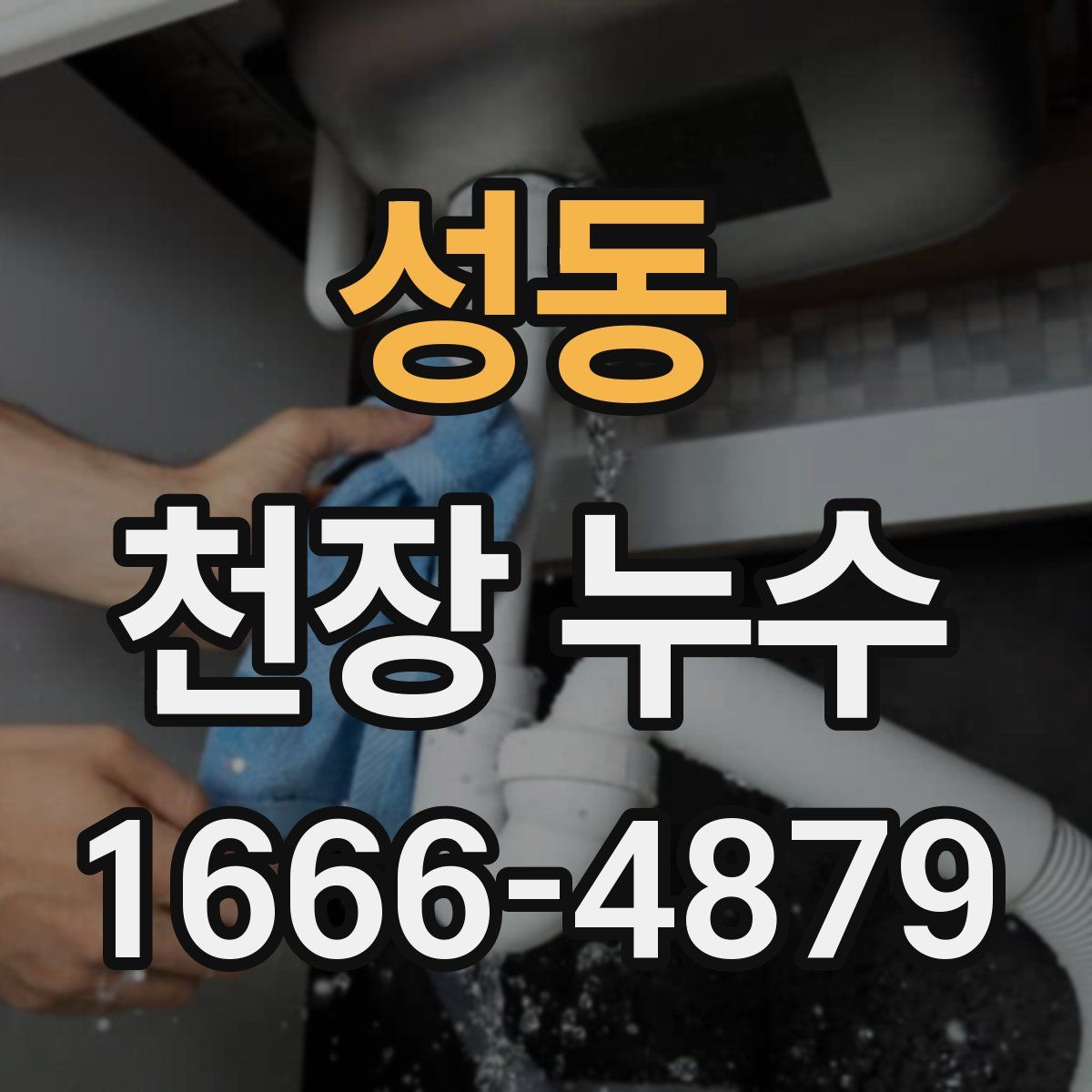 성동 천장 누수
