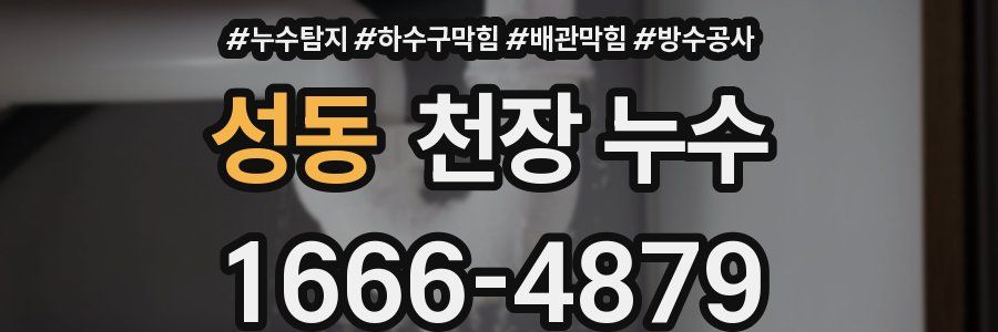 성동 천장 누수