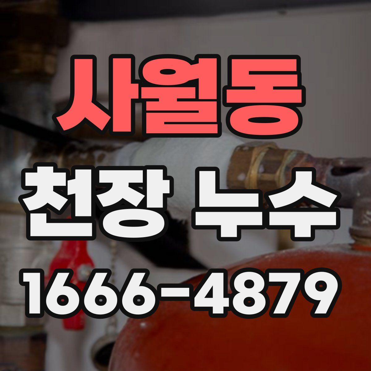 사월동 천장 누수