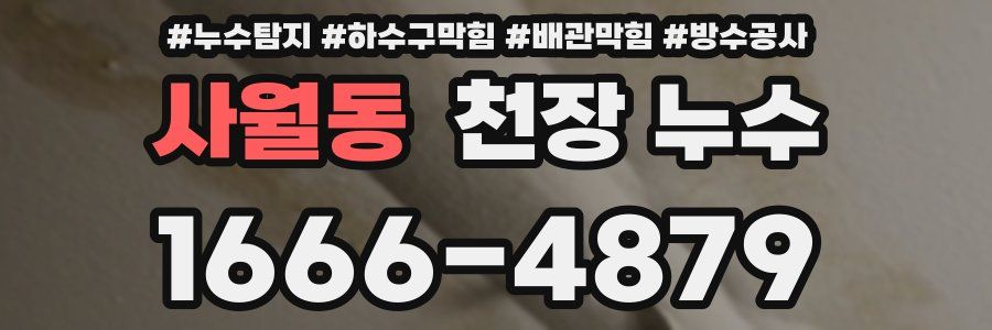 사월동 천장 누수