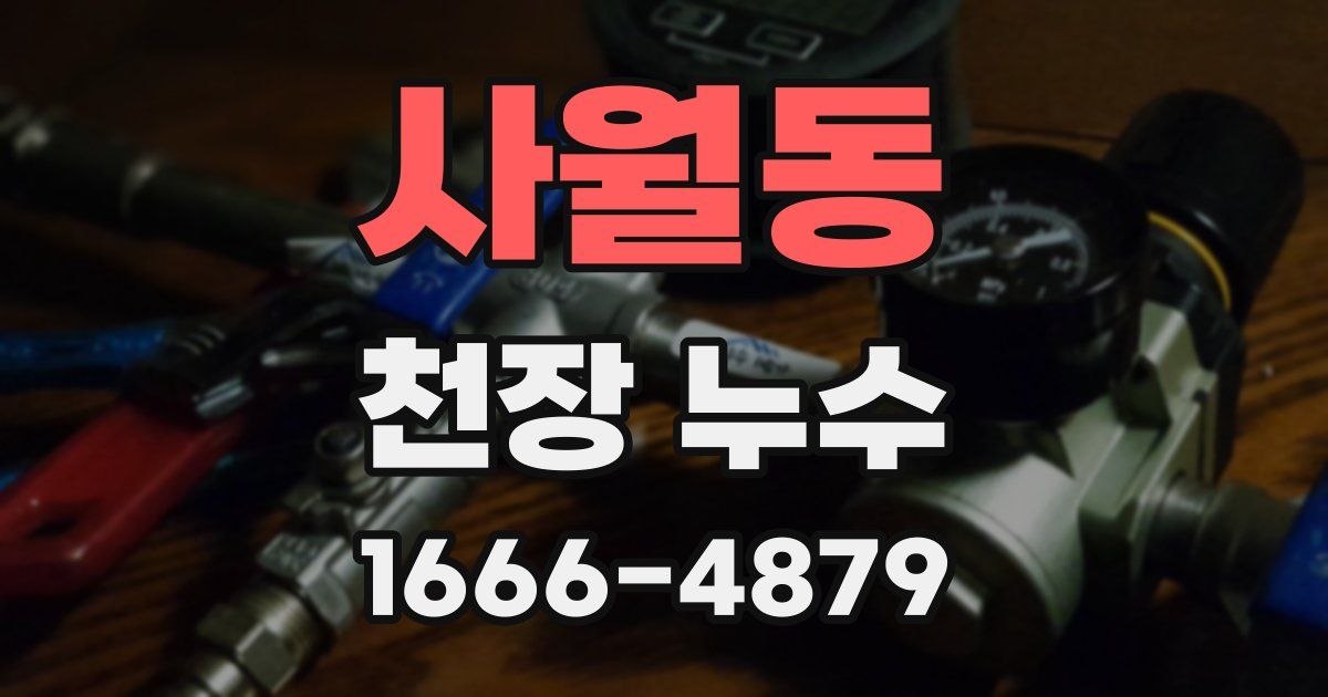 사월동 천장 누수