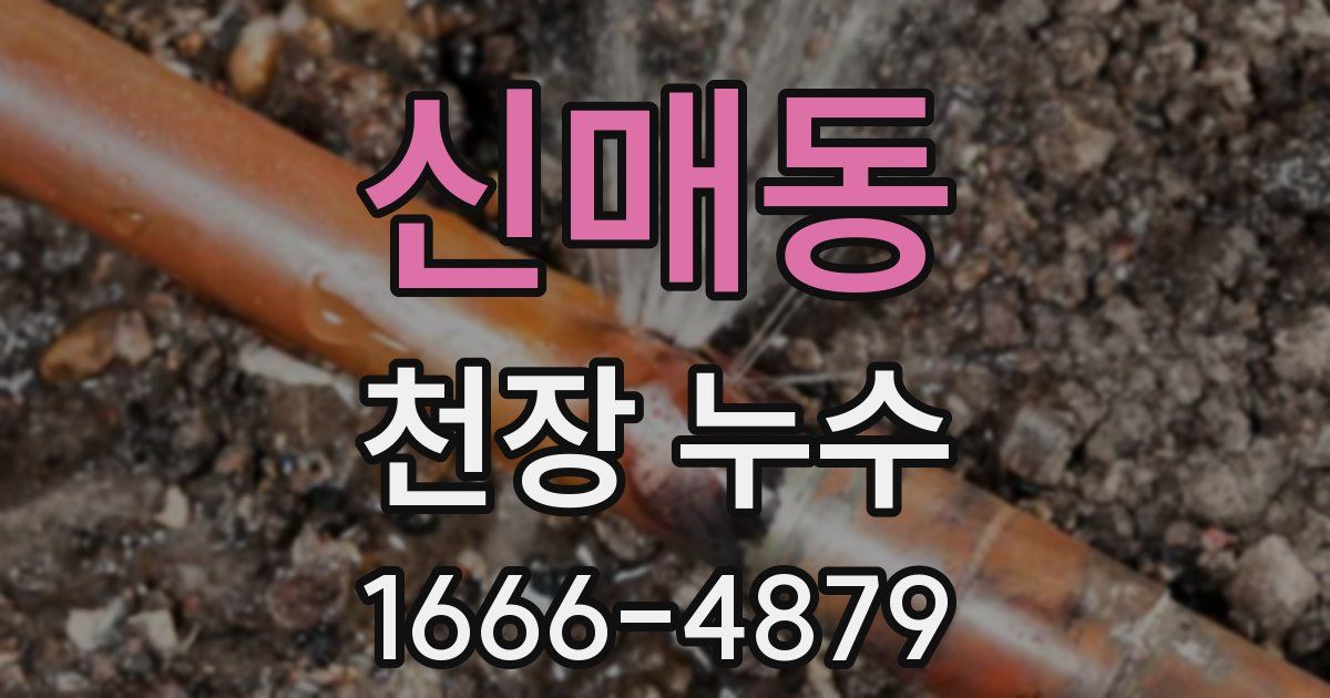 신매동 천장 누수