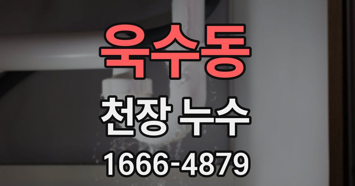 욱수동 천장 누수