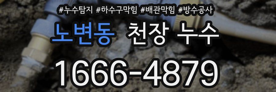노변동 천장 누수