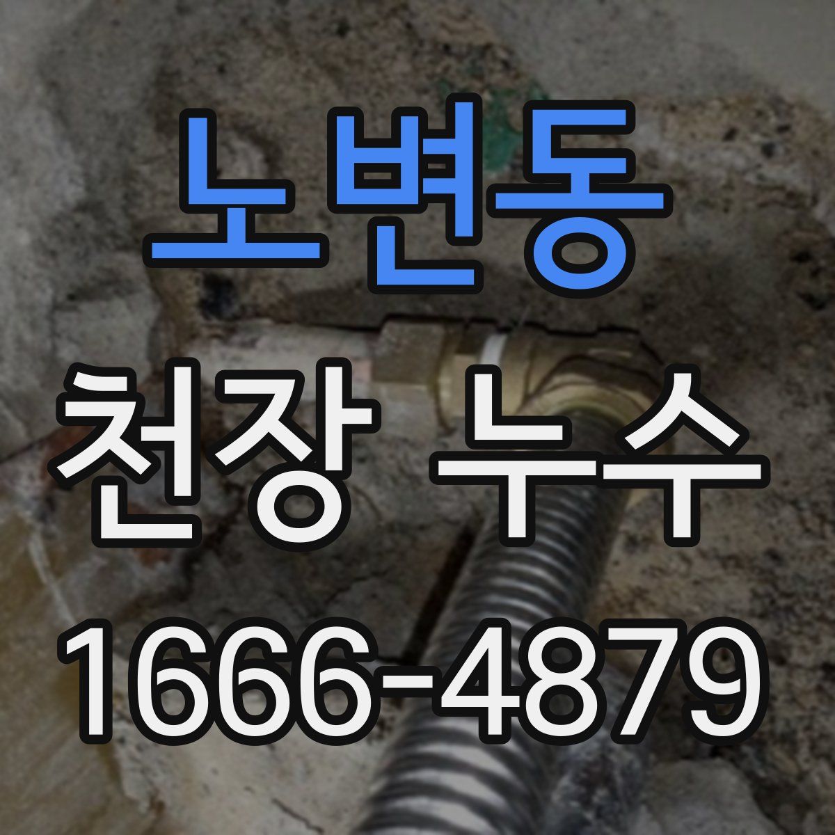 노변동 천장 누수