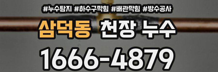 삼덕동 천장 누수