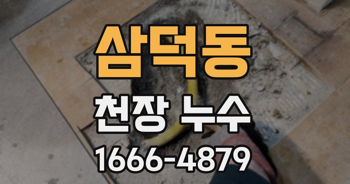삼덕동 천장 누수