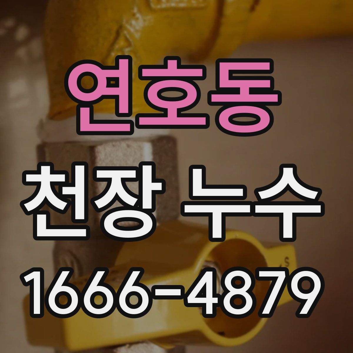 연호동 천장 누수