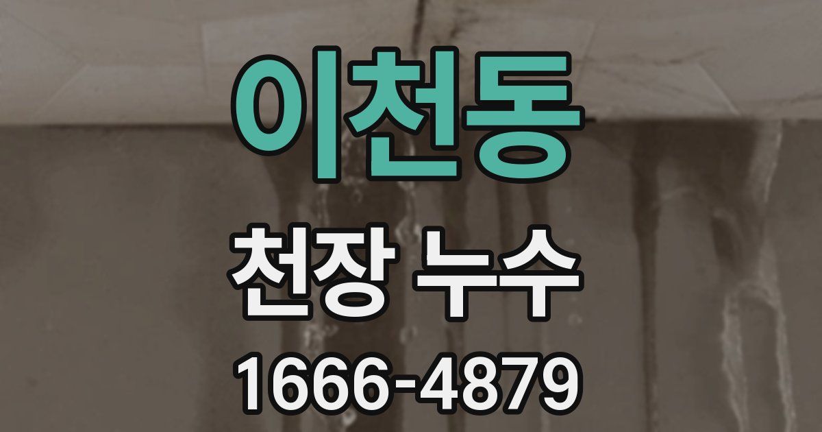 이천동 천장 누수