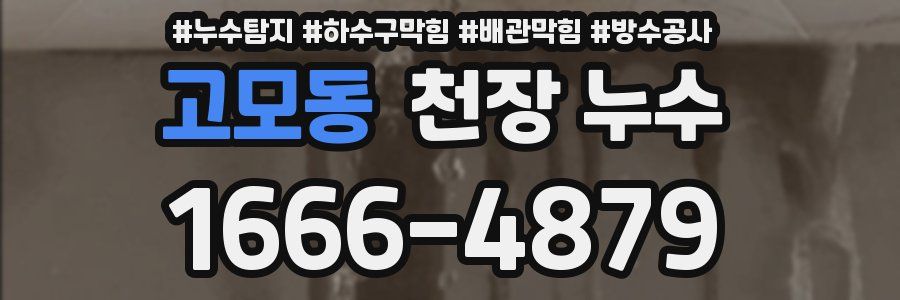 고모동 천장 누수