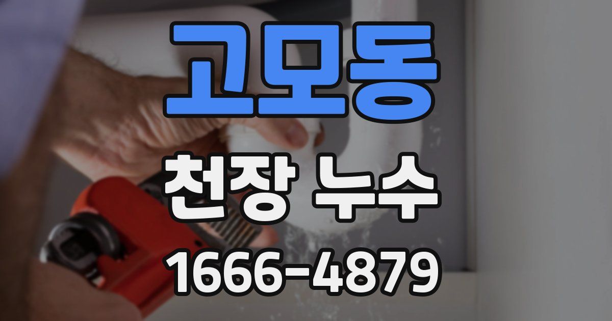 고모동 천장 누수