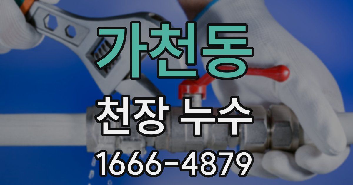 가천동 천장 누수