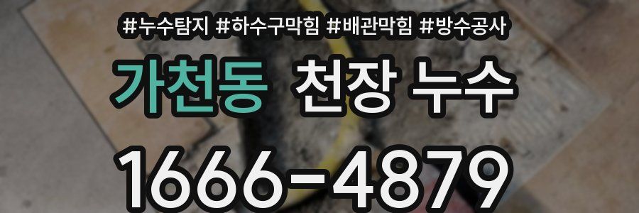 가천동 천장 누수