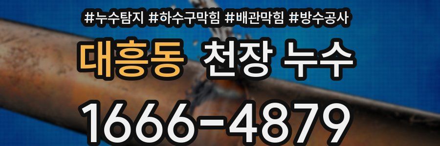 대흥동 천장 누수