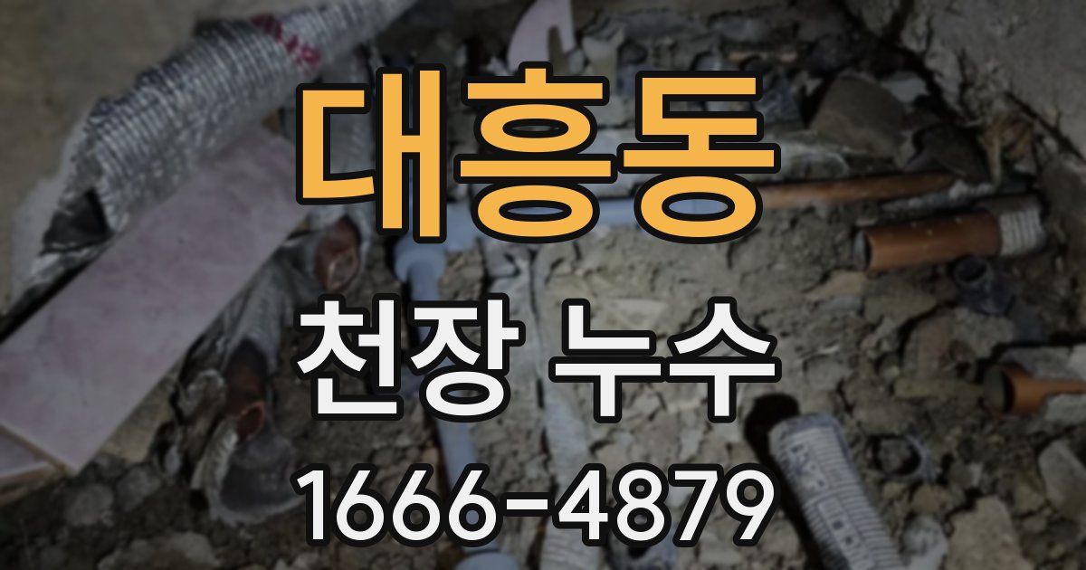 대흥동 천장 누수