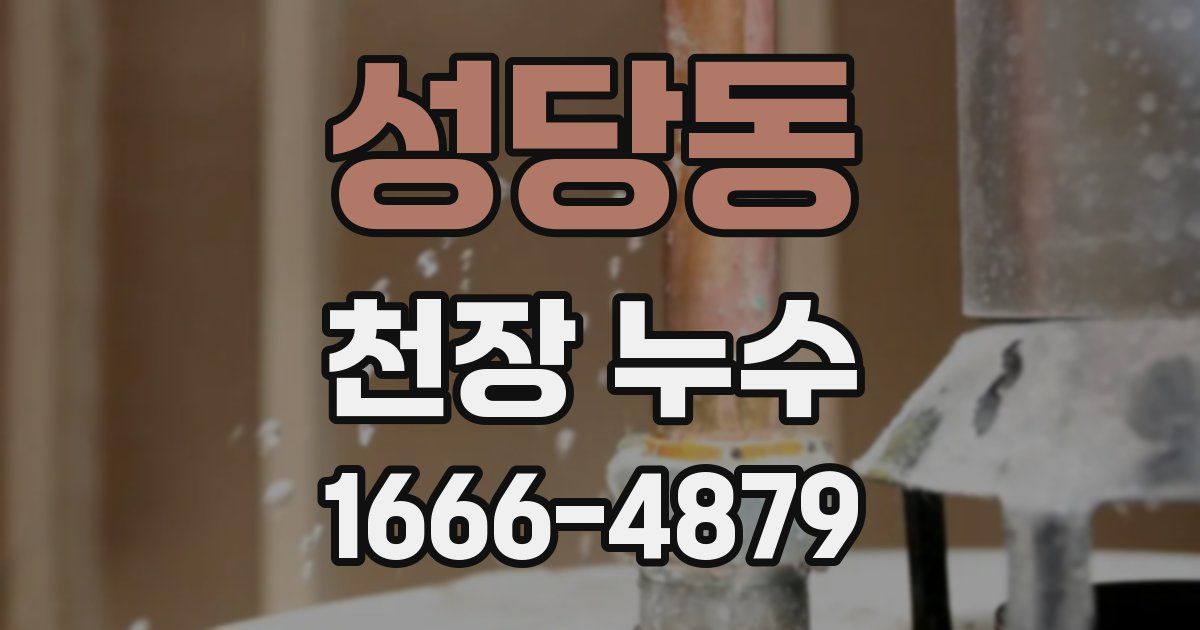 성당동 천장 누수