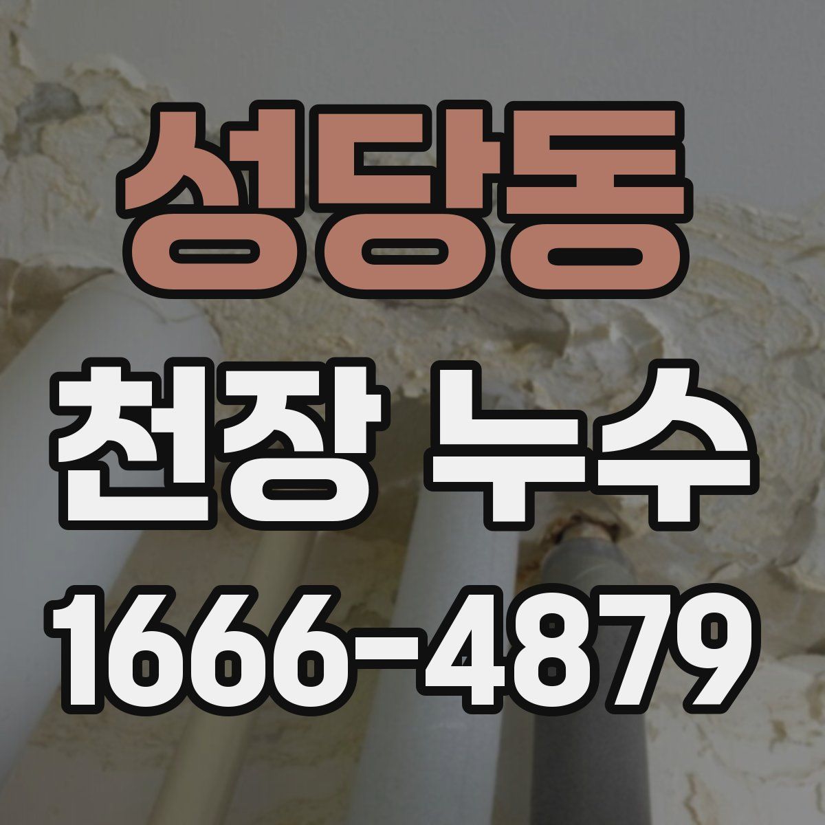 성당동 천장 누수
