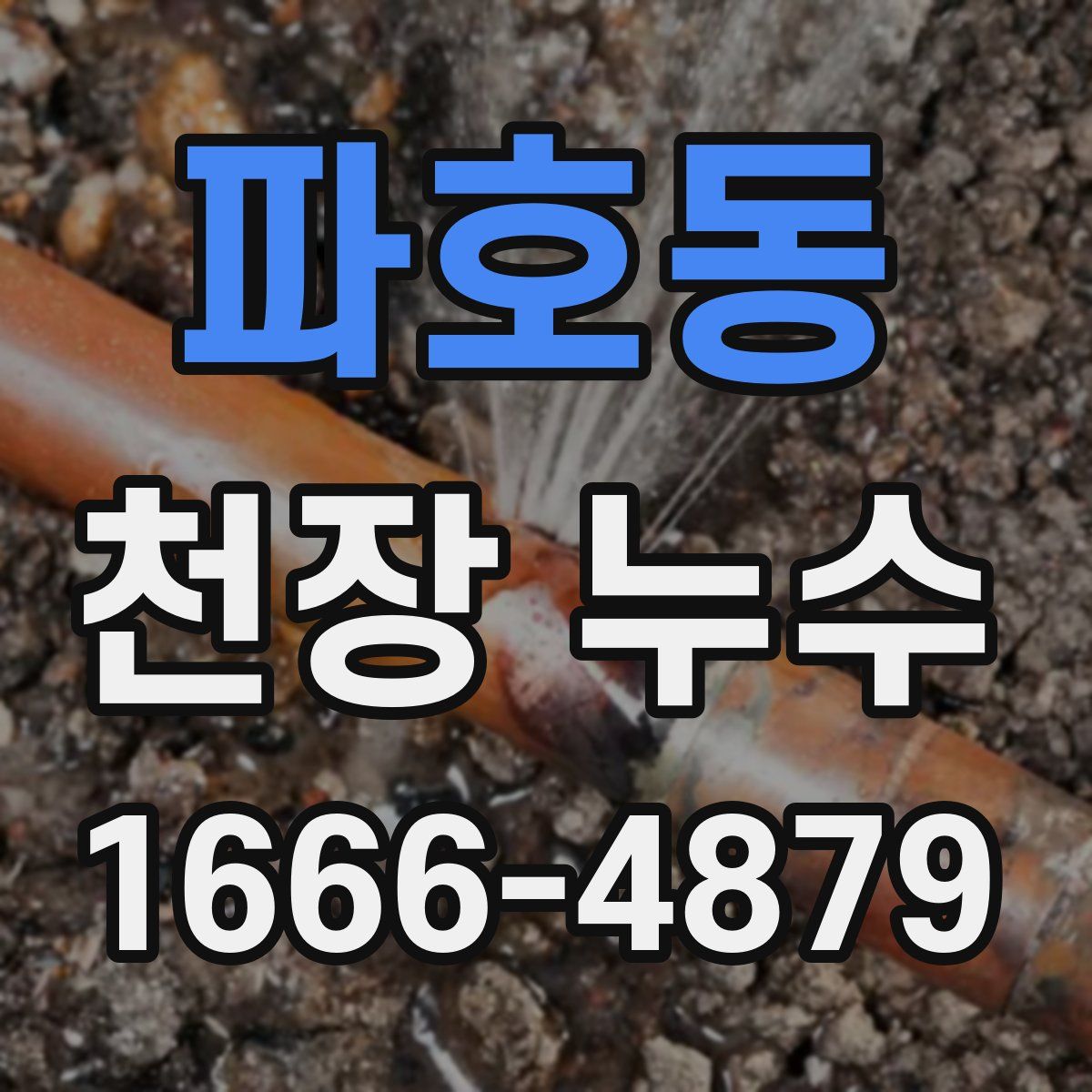 파호동 천장 누수