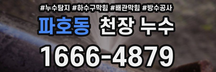 파호동 천장 누수