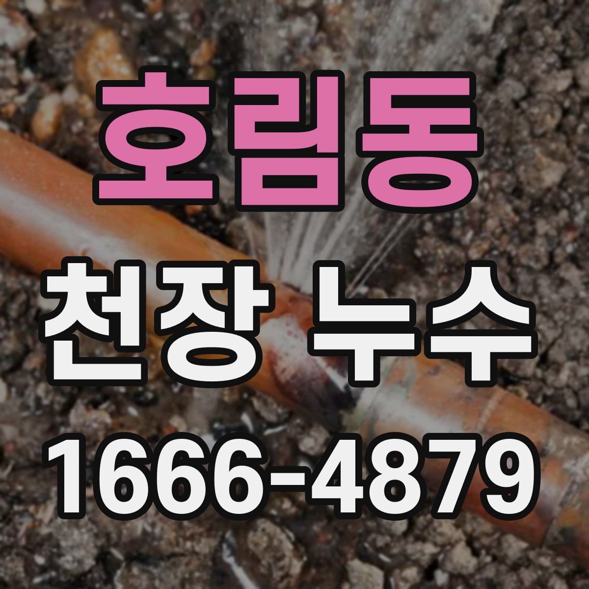 호림동 천장 누수