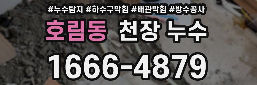 호림동 천장 누수