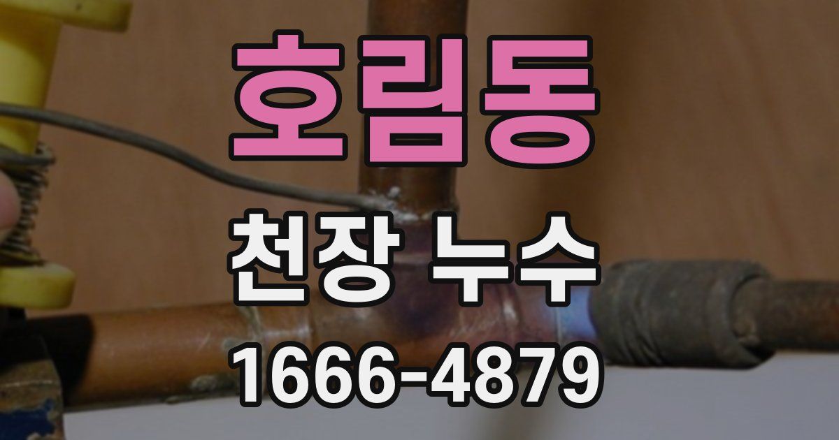 호림동 천장 누수