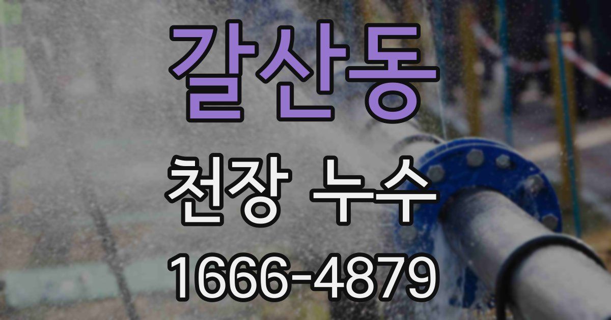 갈산동 천장 누수