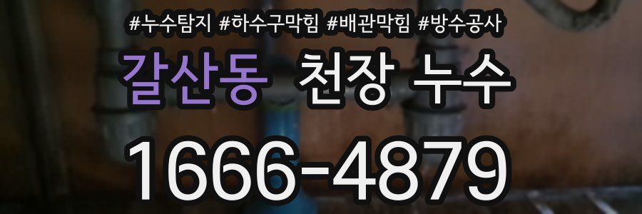 갈산동 천장 누수