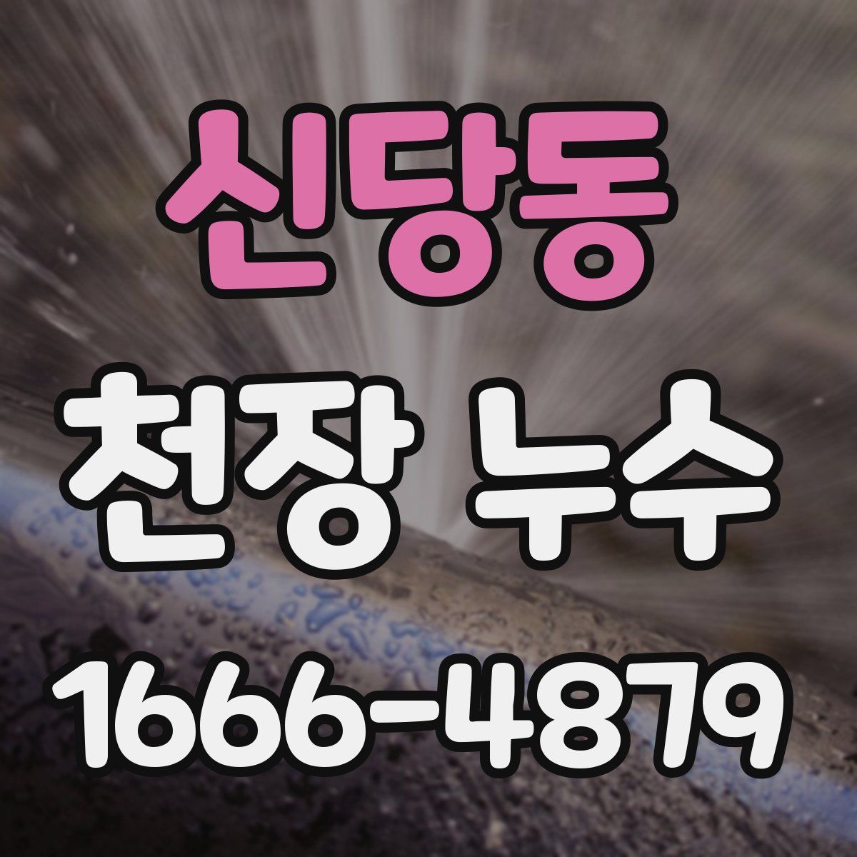신당동 천장 누수