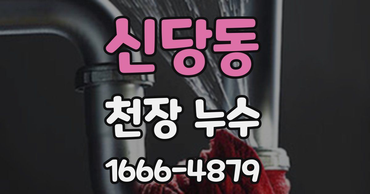 신당동 천장 누수