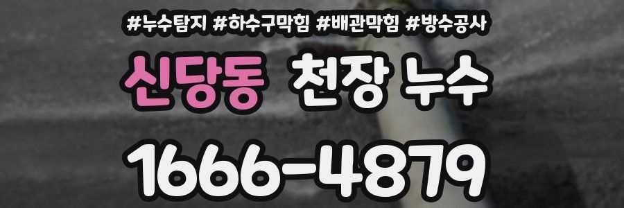 신당동 천장 누수