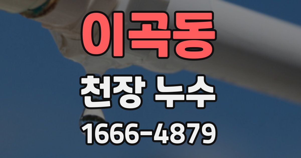 이곡동 천장 누수