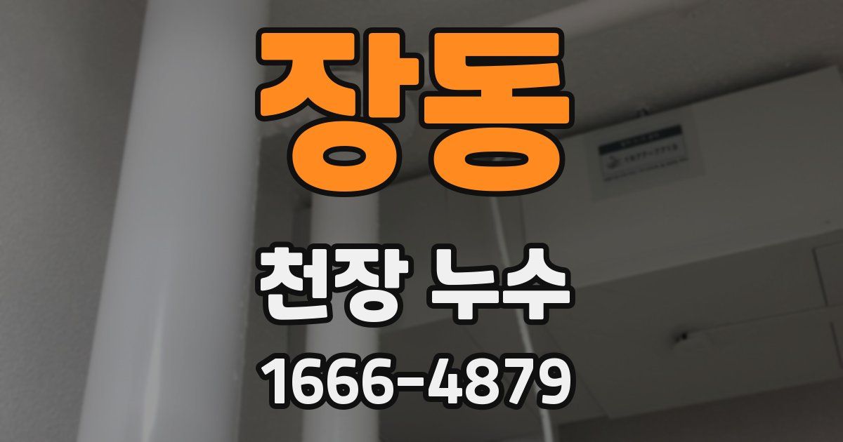 장동 천장 누수